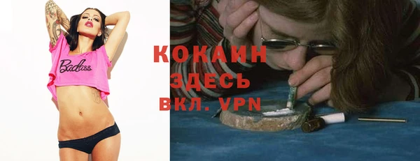 ешки Медногорск