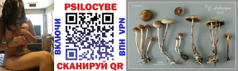 Галлюциногенные грибы ЛСД  Купить закладки  Ува 